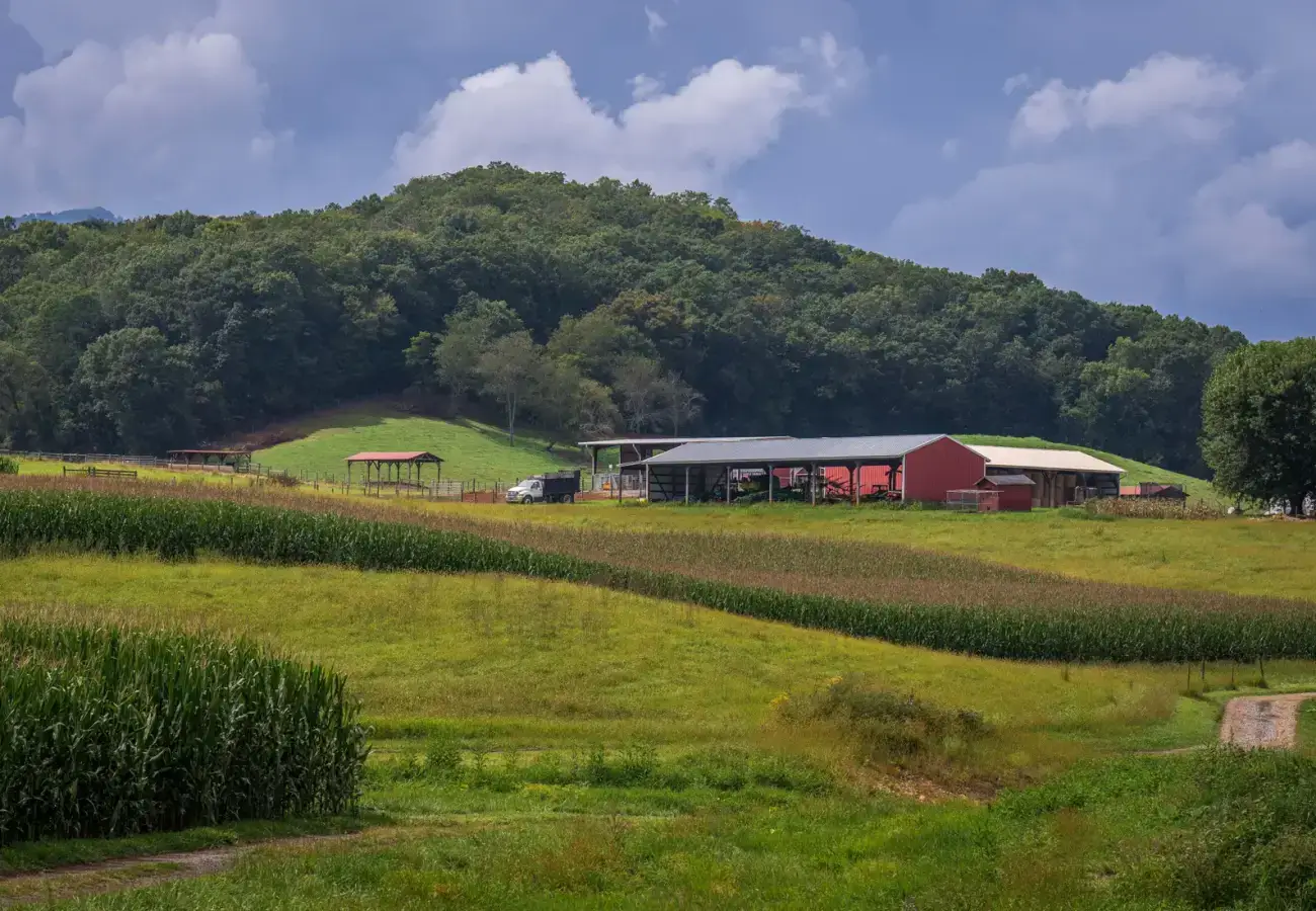 Farmland and rolling hills with a red barn
